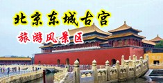 美少妇12P中国北京-东城古宫旅游风景区